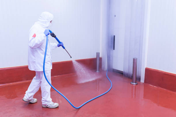Best Building Exterior Washing  in Buckhead, GA